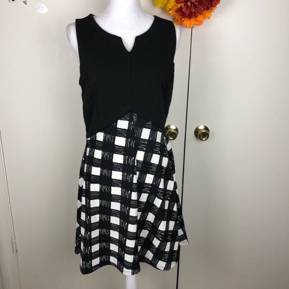 🐼 Haani Fit & Flare V-Neck Dress Sz Petite L